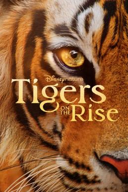 Tigers on the Rise (2024) Disney+ บรรยายไทย