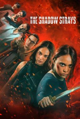 The Shadow Strays นักฆ่าเงาล่าทรชน (2024) NETFLIX